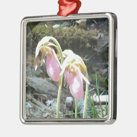 Roze dame slipper Orchid Metalen Ornament (Links)