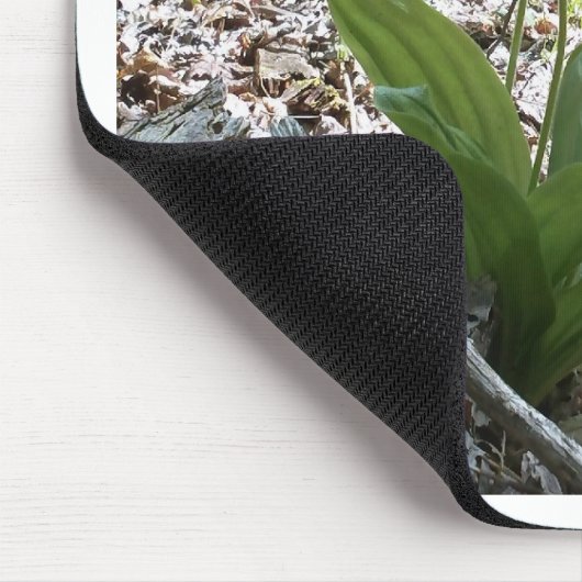 Roze dame slipper Orchid Muismat (Hoek)