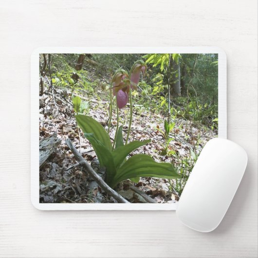 Roze dame slipper Orchid Muismat (Met muis)