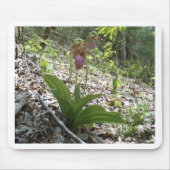 Roze dame slipper Orchid Muismat (Voorkant)