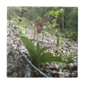 Roze dame slipper Orchid Tegeltje (Voorkant)