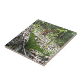 Roze dame slipper Orchid Tegeltje (Zijkant)