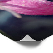 Roze Dame Slipper Orchidee Flower Mirror Abstract Poster (Hoek)