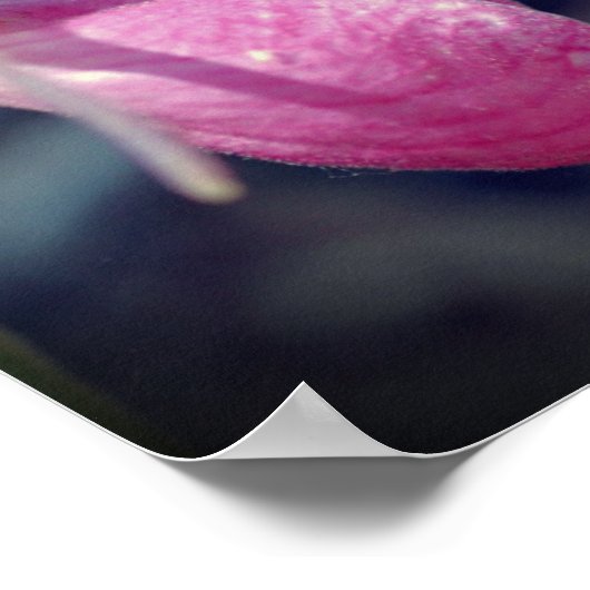 Roze Dame Slipper Orchidee Flower Mirror Abstract Poster (Hoek)