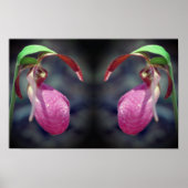 Roze Dame Slipper Orchidee Flower Mirror Abstract Poster (Voorkant)