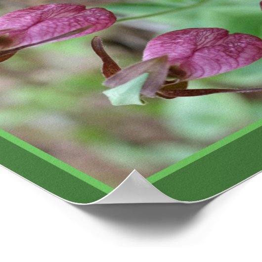 Roze Dame Slipper Orchidee Flower Pair Abstract Poster (Hoek)