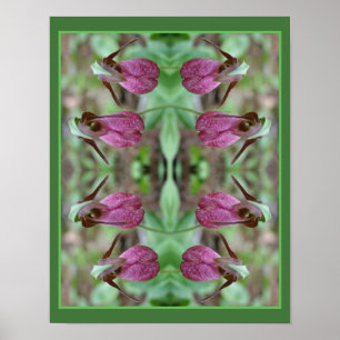 Roze Dame Slipper Orchidee Flower Pair Abstract Poster