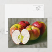 Roze dames briefkaart (Voorkant / Achterkant)
