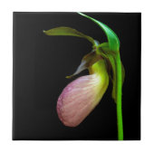 roze damesglijper tegeltje (Voorkant)