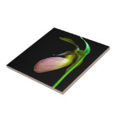 roze damesglijper tegeltje (Zijkant)