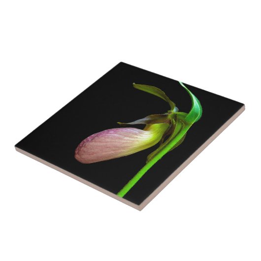 roze damesglijper tegeltje (Zijkant)