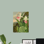 Roze Damesorkentant Bloemige Orchidee Botanisch Poster