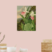 Roze Damesorkentant Bloemige Orchidee Botanisch Poster