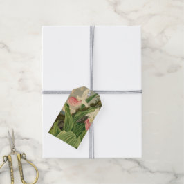 Roze Damesorkentje Vintage Bloem Orchidee Botanisc Cadeaulabel