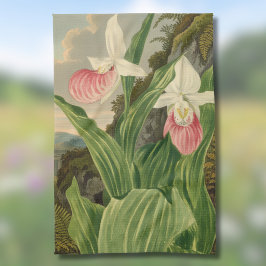 Roze Damesorkentje Vintage Botanische Orchidee Theedoek