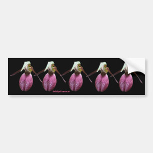 Roze Damesorkest Foto Bumpersticker