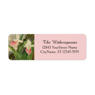 Roze Damespantoffel Antieke Bloem Orchidee Botanis Etiket