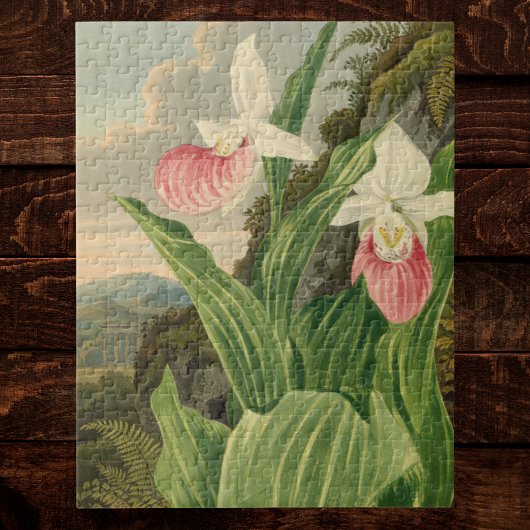 Roze Damespantoffel Oude Bloem Orchidee Botanisch Legpuzzel