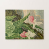 Roze Damespantoffel Oude Bloem Orchidee Botanisch Legpuzzel (Horizontaal)