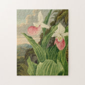 Roze Damespantoffel Oude Bloem Orchidee Botanisch Legpuzzel (Verticaal)
