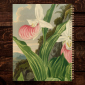 Roze Damespantoffel Oude Bloem Orchidee Botanisch Planner