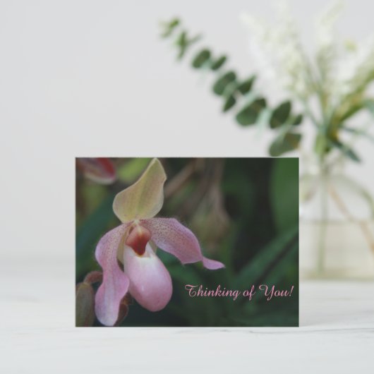 Roze damesslipper orchidee ventilator briefkaart (Staand voorkant)