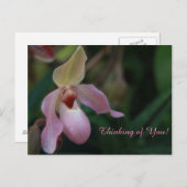 Roze damesslipper orchidee ventilator briefkaart (Voorkant / Achterkant)