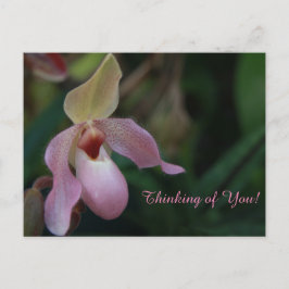 Roze damesslipper orchidee ventilator briefkaart