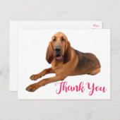 Roze Dank u Bloedhond Puppy Dog Briefkaart (Voorkant / Achterkant)