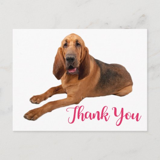 Roze Dank u Bloedhond Puppy Dog Briefkaart (Voorkant)
