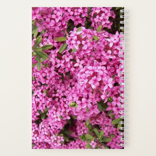 Roze Daphne Floral Notitieboek (Achterkant)