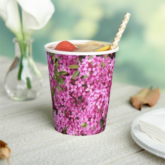  Roze Daphne Floral Papieren Bekers (Insitu)