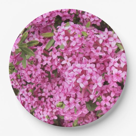 Roze Daphne Floral Papieren Bordje (Voorkant)