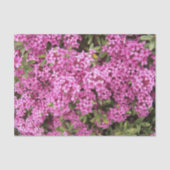  Roze Daphne Floral Tissuepapier (Voorkant)