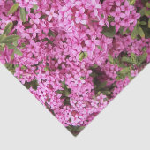  Roze Daphne Floral Tissuepapier (Detail)