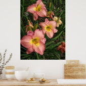 Roze Daylilies Poster (Keuken)