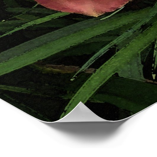 Roze Daylilies Poster (Hoek)