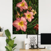 Roze Daylilies Poster (Thuiskantoor)