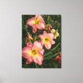 Roze Daylilies Wrapped Canvas (Voorkant)