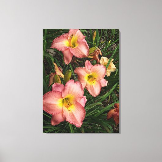 Roze Daylilies Wrapped Canvas Afdruk (Voorkant)