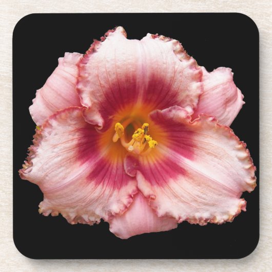 Roze Daylily Bloom op Black Floral Bier Onderzetter (Voorkant)