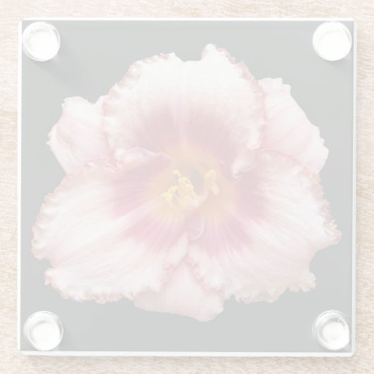 Roze Daylily Bloom op Black Floral Glazen Onderzetter (Achterkant)