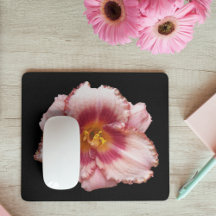 Roze Daylily Bloom op Black Floral