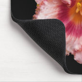 Roze Daylily Bloom op Black Floral Muismat (Hoek)
