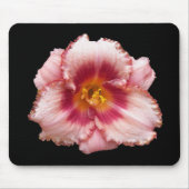 Roze Daylily Bloom op Black Floral Muismat (Voorkant)