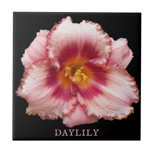 Roze Daylily Bloom op Black Floral Tegeltje (Voorkant)