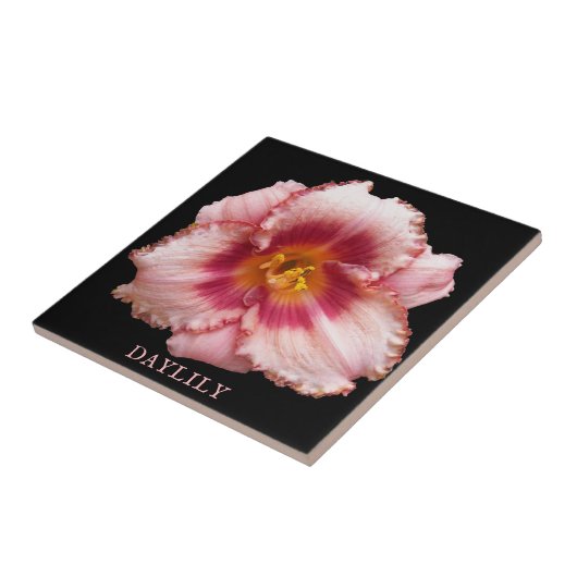 Roze Daylily Bloom op Black Floral Tegeltje (Zijkant)