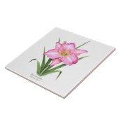 Roze Daylily Botanische Kunst Stijl Tegeltje (Zijkant)