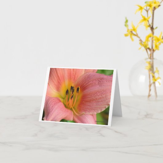 Roze Daylily Kaart (Gele Bloem)