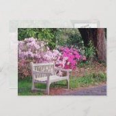 Roze de tuinbankbloemen briefkaart (Voorkant / Achterkant)